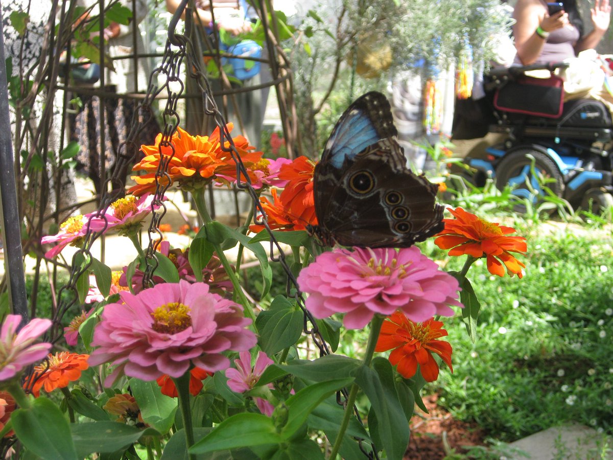 r ⛅️ tweet media