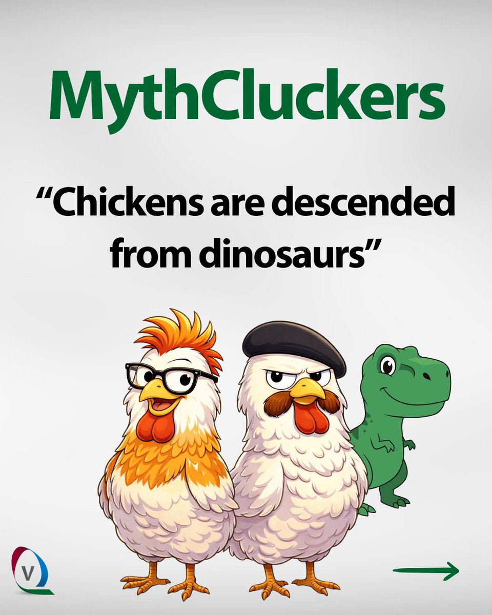 Vencomatic Group tweet media