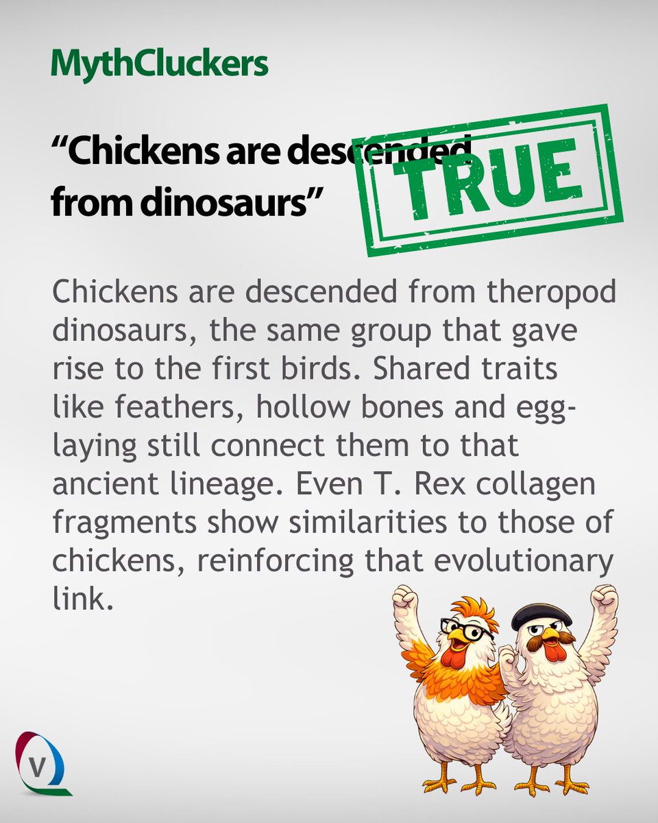 Vencomatic Group tweet media