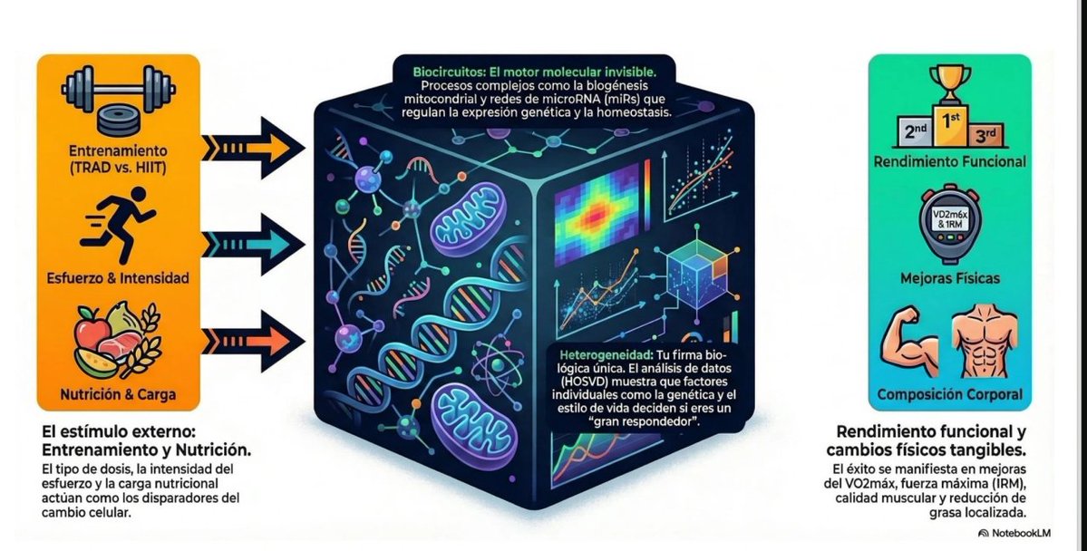 Esther Morencos Martínez tweet media
