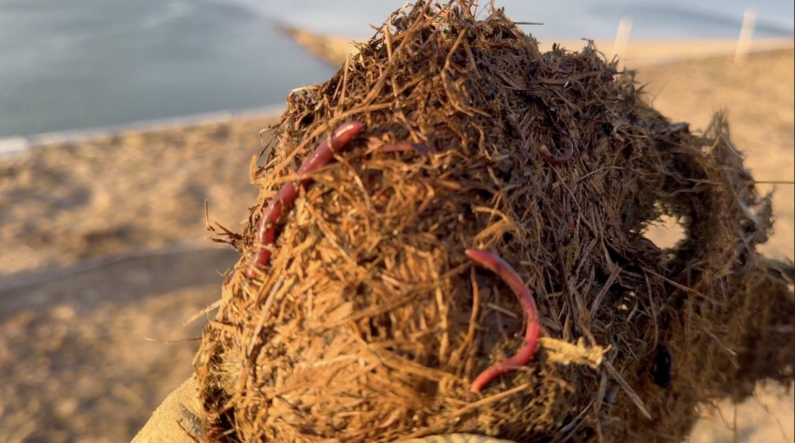 Tim Kelley tweet media