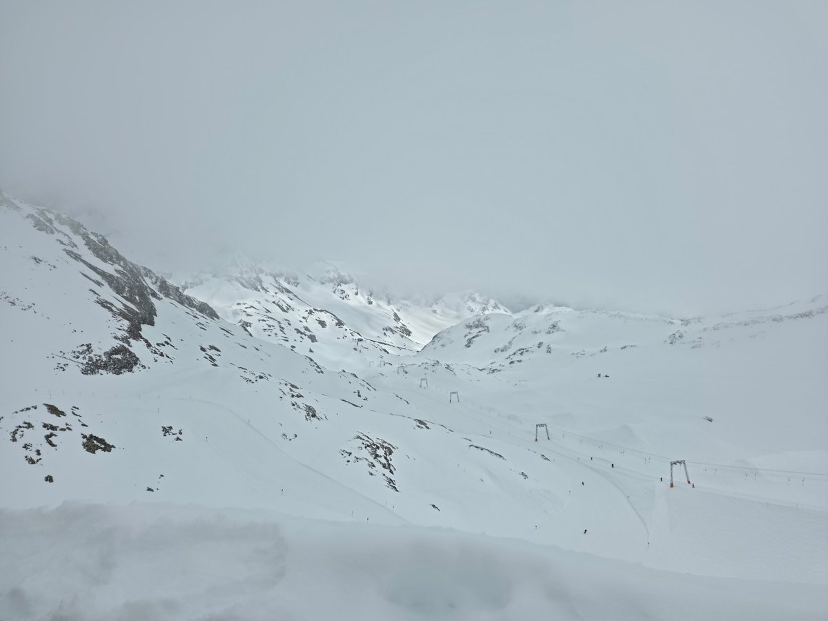 Thonera 🇵🇱 🇵🇱 tweet media