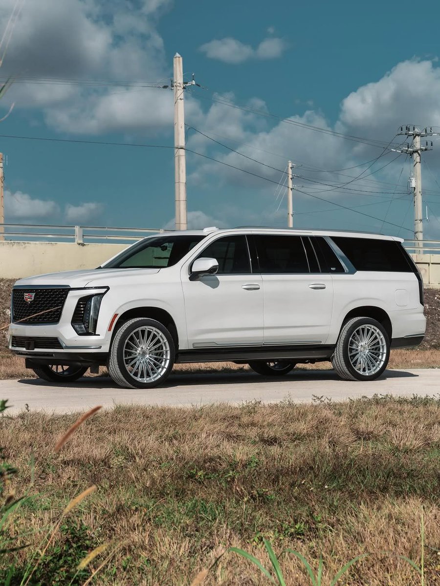 Throttle Cars tweet media