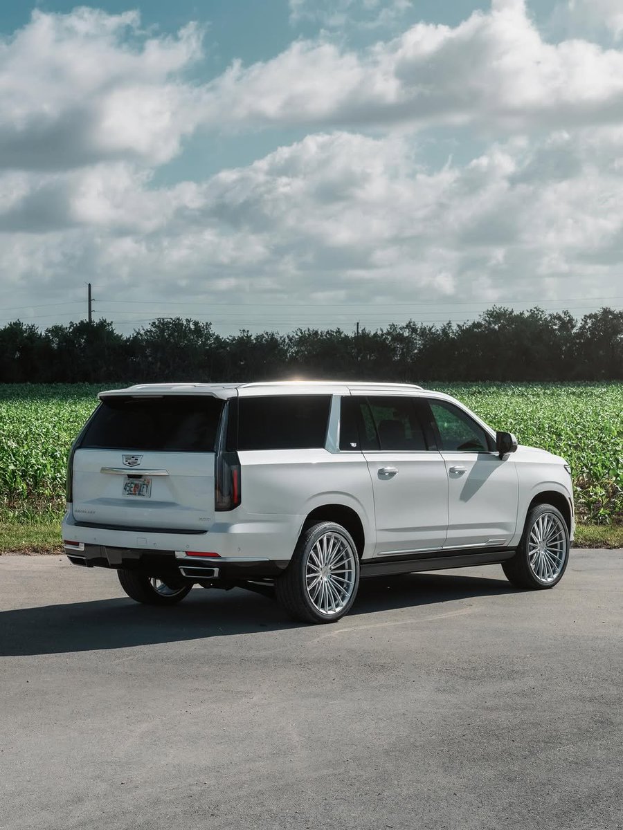 Throttle Cars tweet media