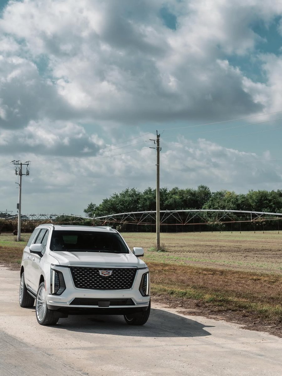 Throttle Cars tweet media