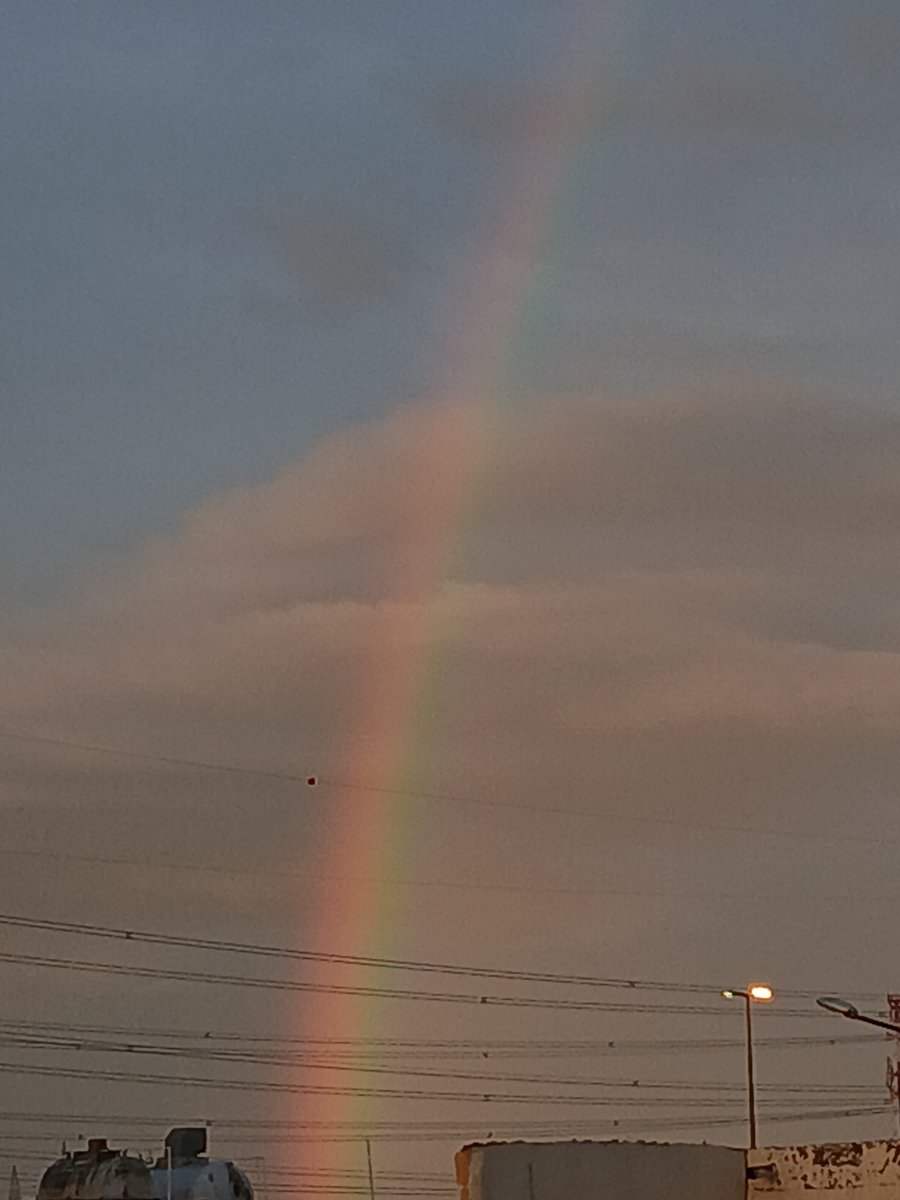 محمد 2 tweet media