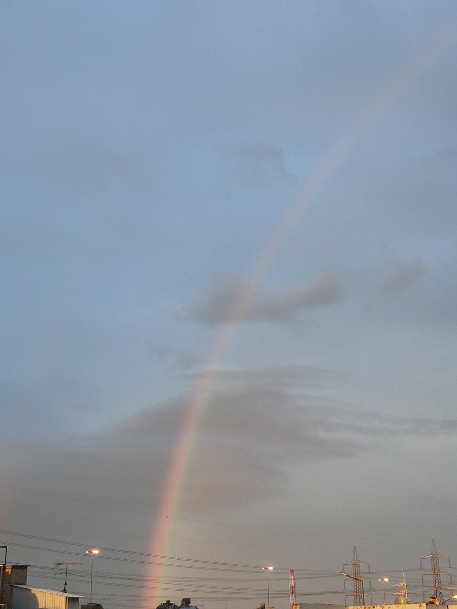 محمد 2 tweet media