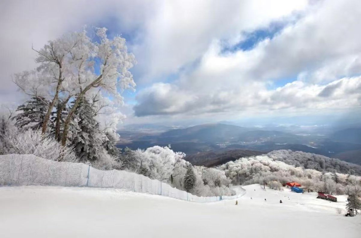 Discover Harbin tweet media