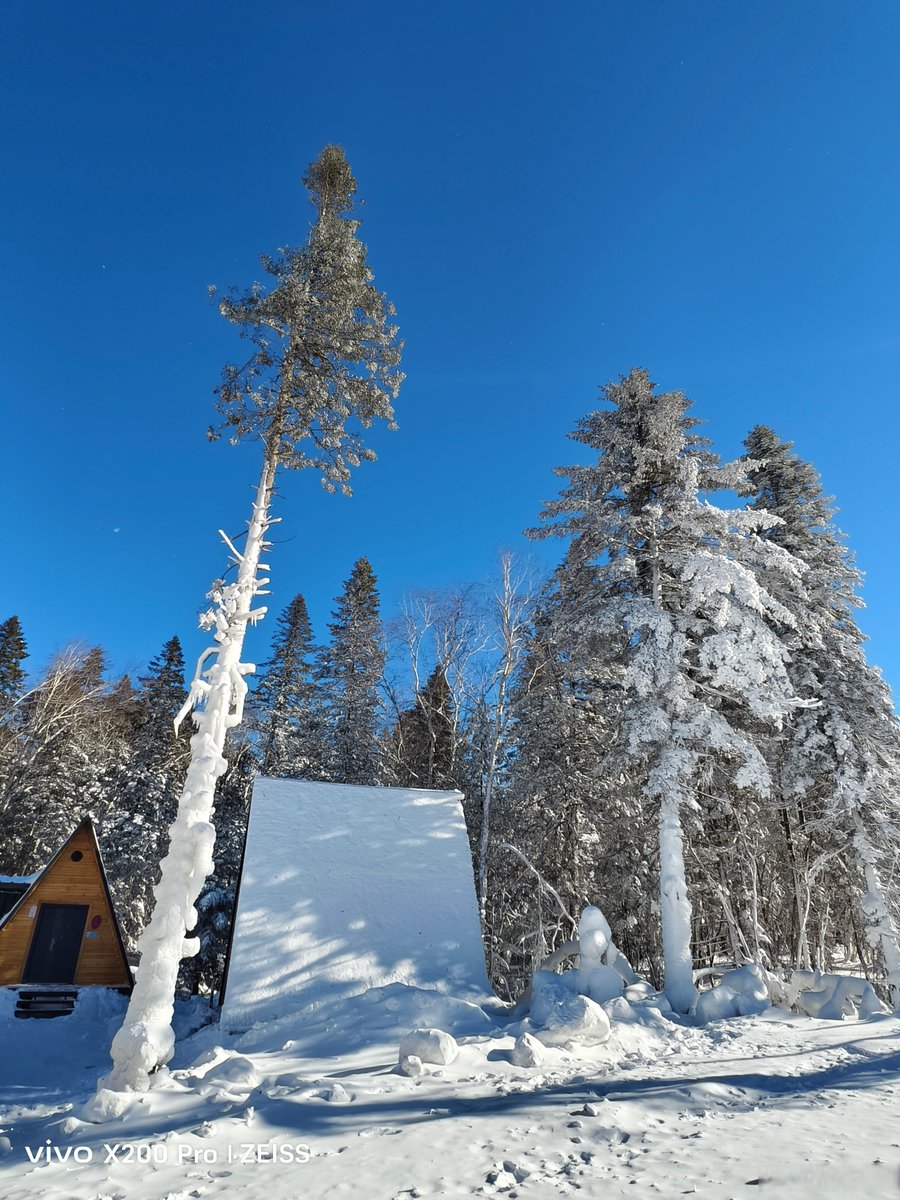 Urvashi Negi tweet media