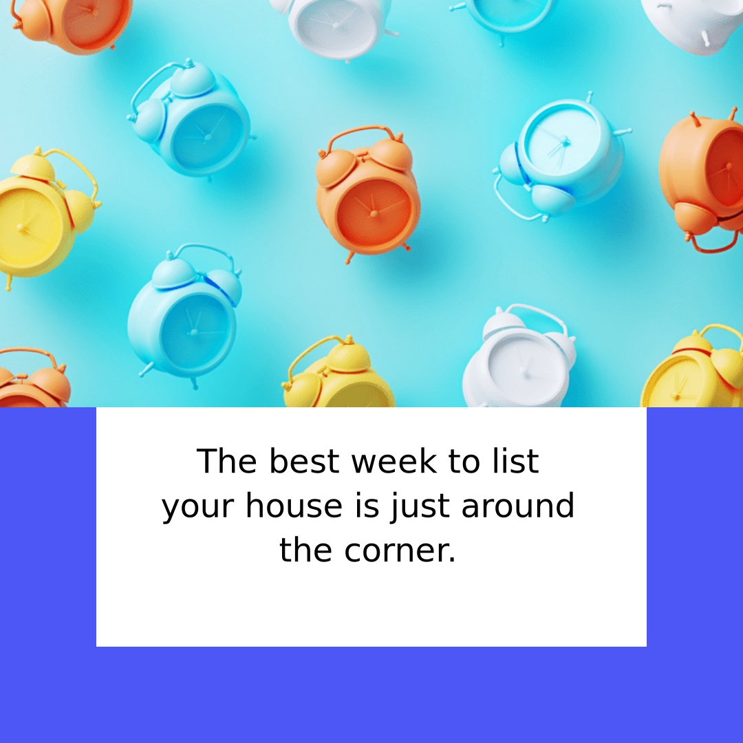 Theresa Dolan tweet media