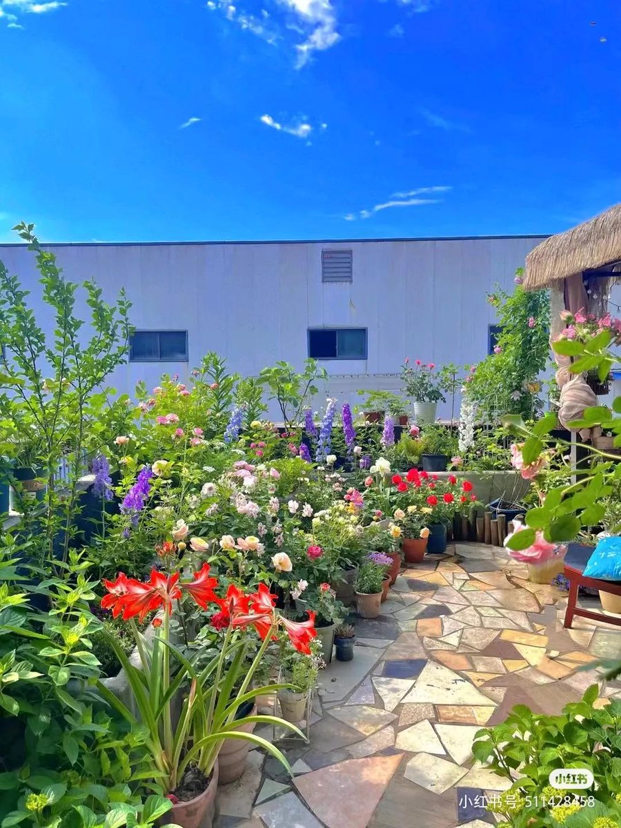 Ciao Yang tweet media