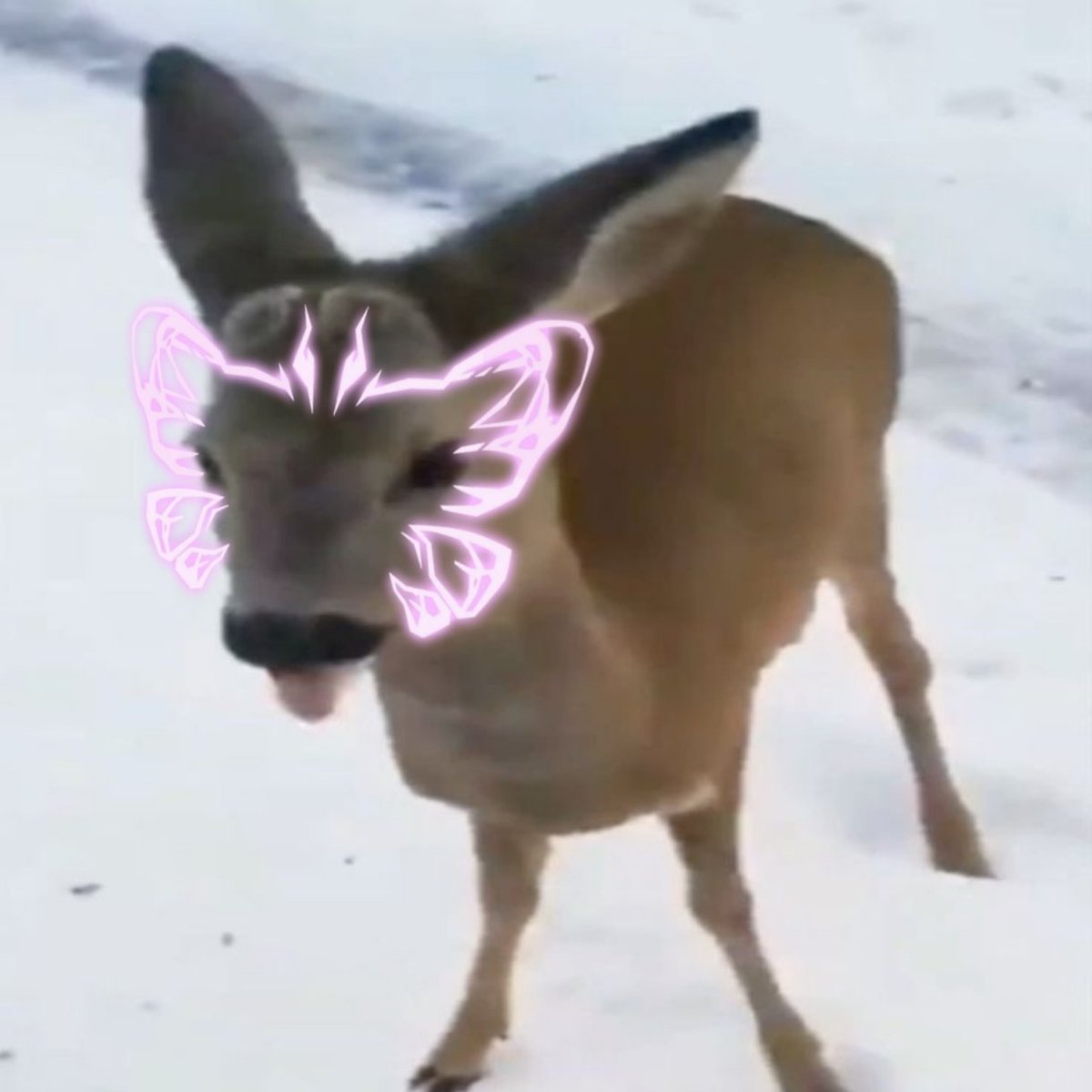 viado akumatizado tweet media