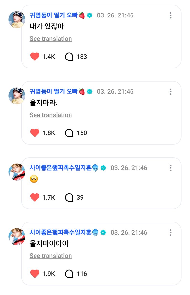 hourly meongppiz🐾 tweet media