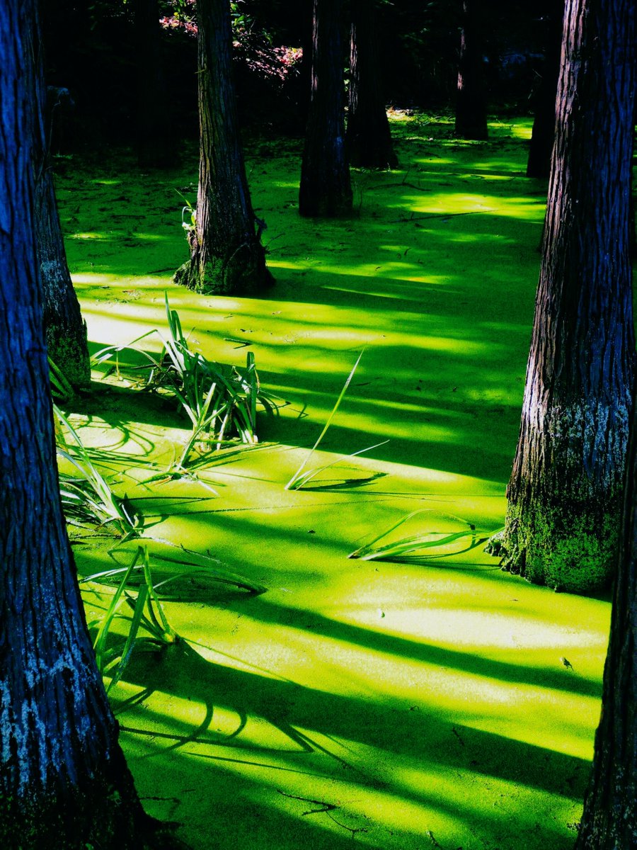 raven sky warner tweet media