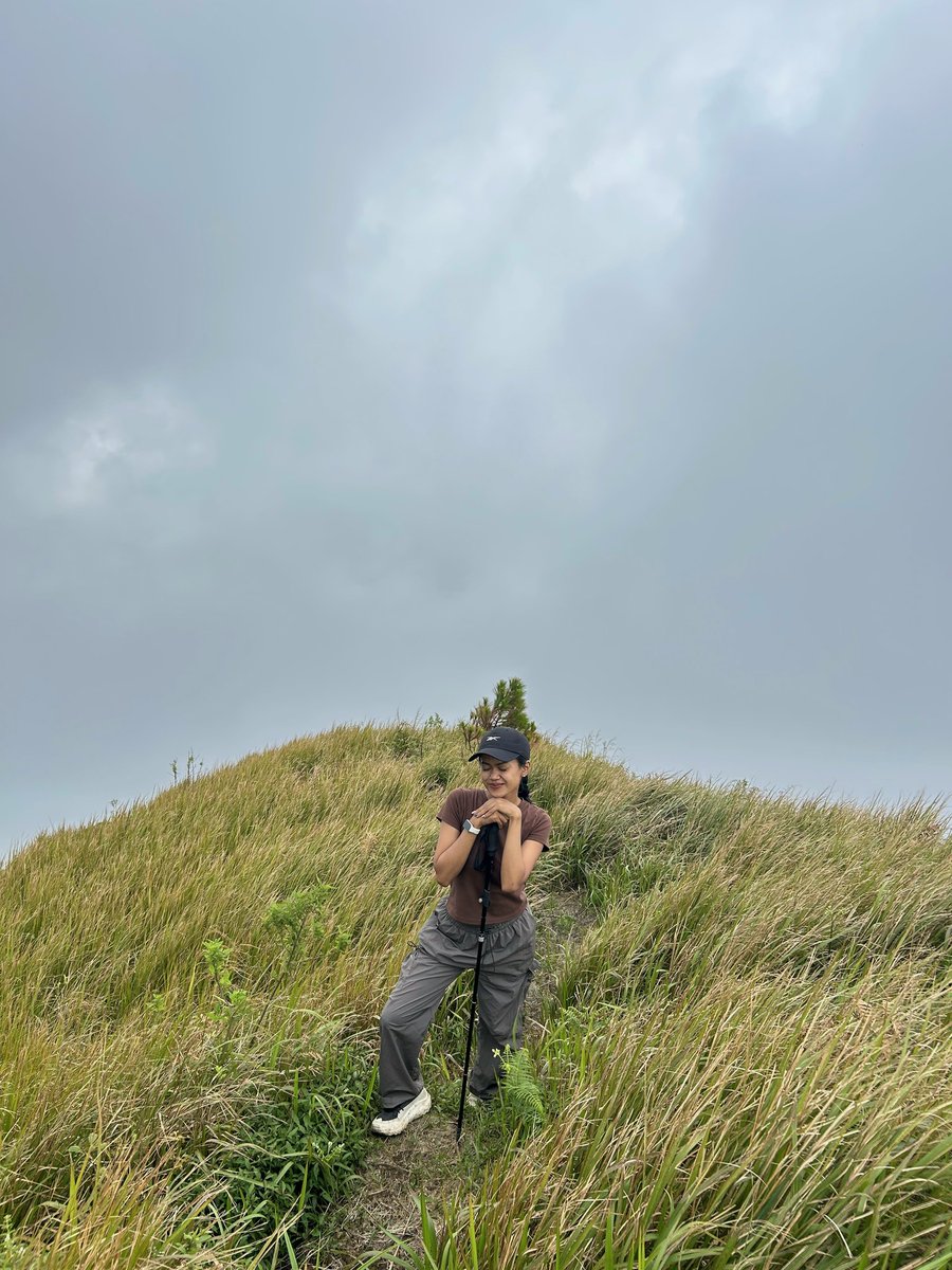 breakfastwrapp tweet media