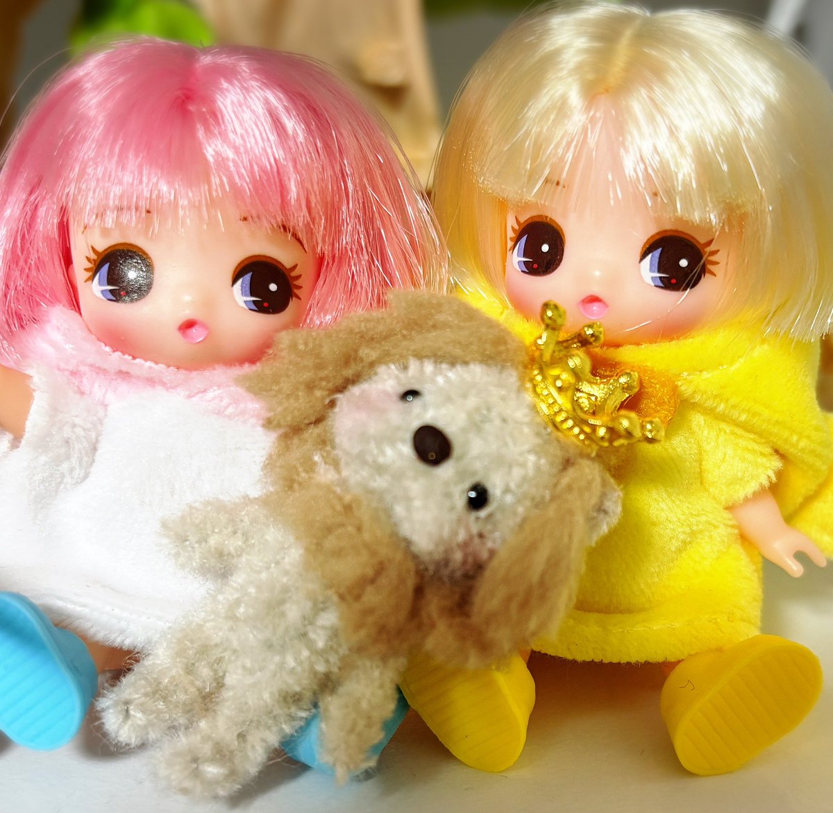 Chiroru🐰(旧cache＊cache) tweet media