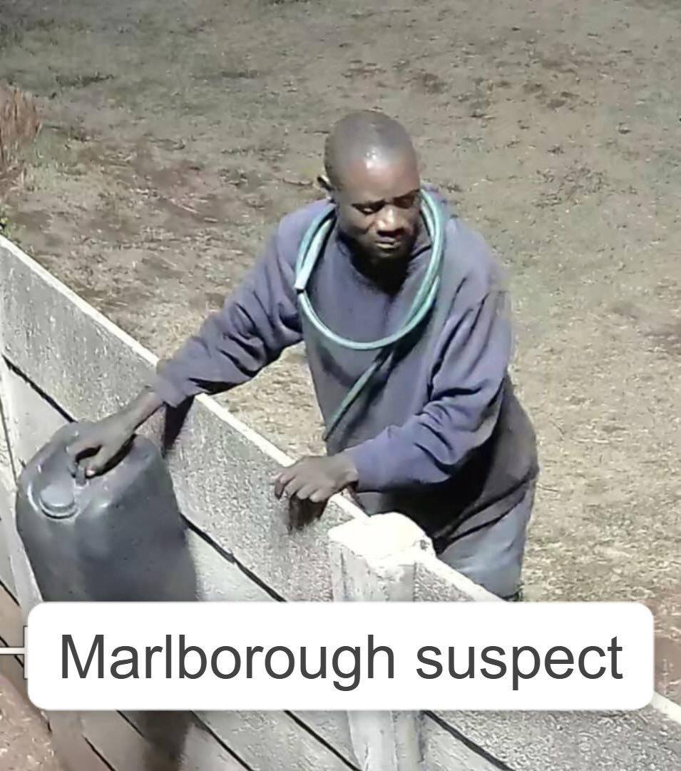 𝐂𝐫𝐢𝐦𝐞 𝐖𝐚𝐭𝐜𝐡 𝐙𝐖 tweet media