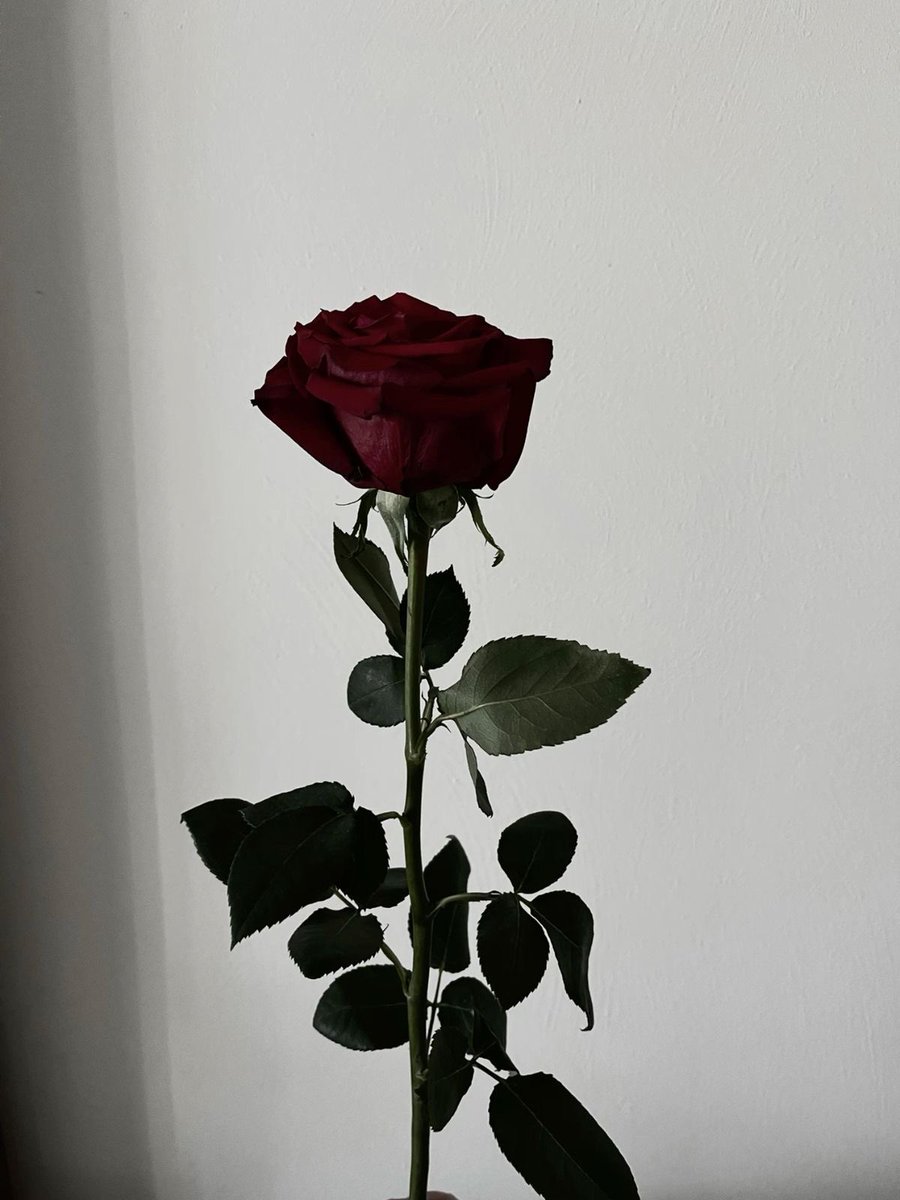 MISS MISA tweet media