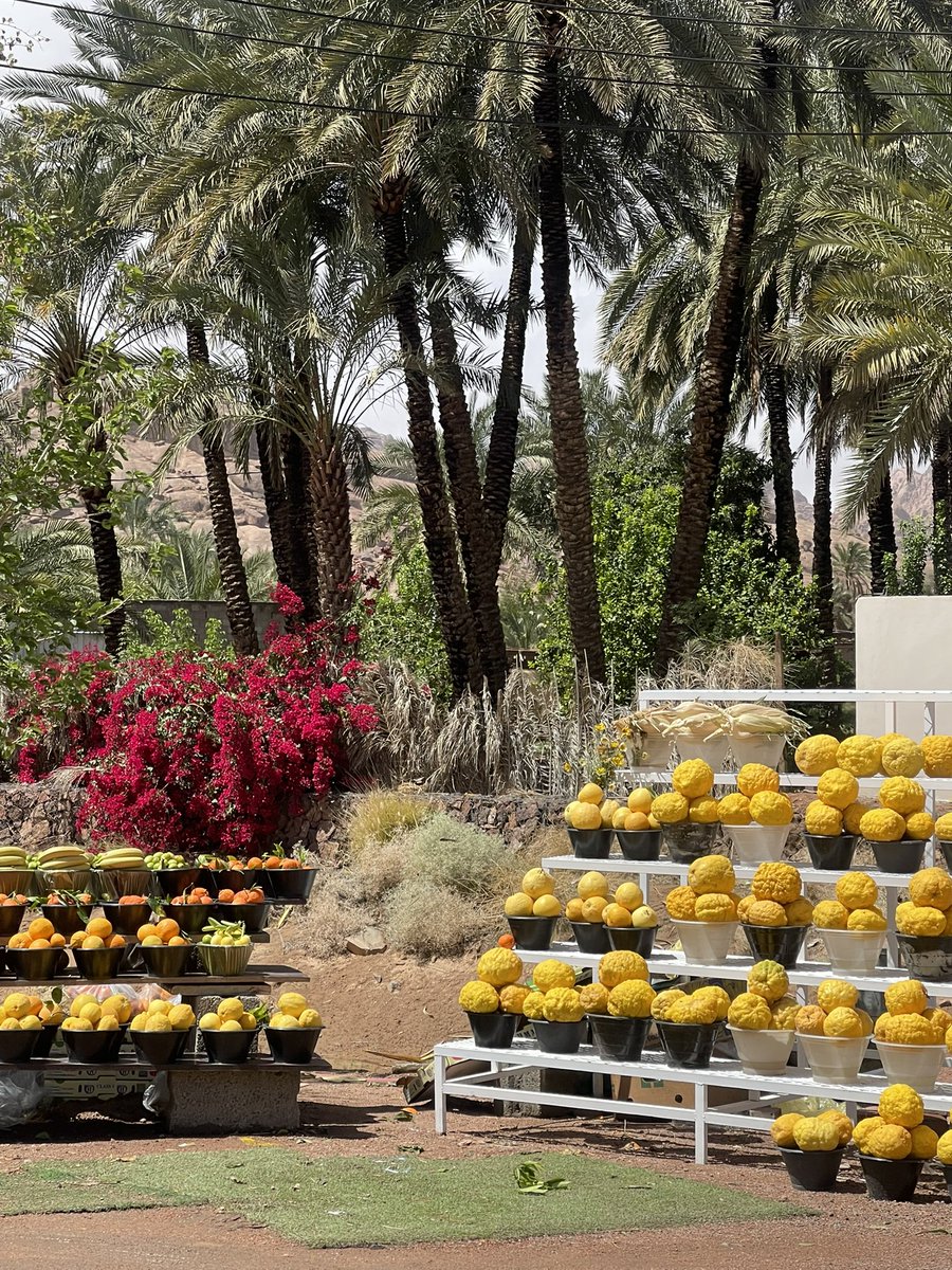 بُهرة🕯️ tweet media