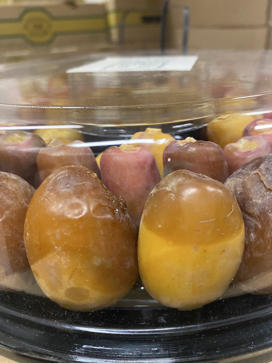 مزارع روضة النخيل العضوية tweet media