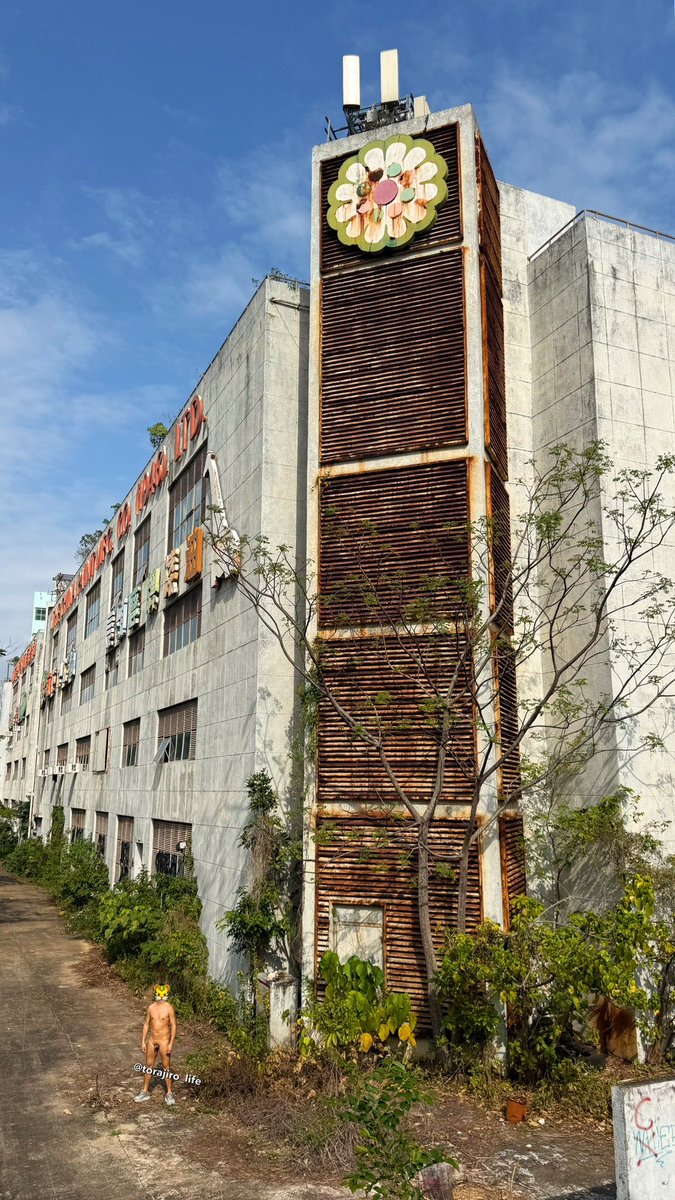 虎ノ次郎の生涯 tweet media