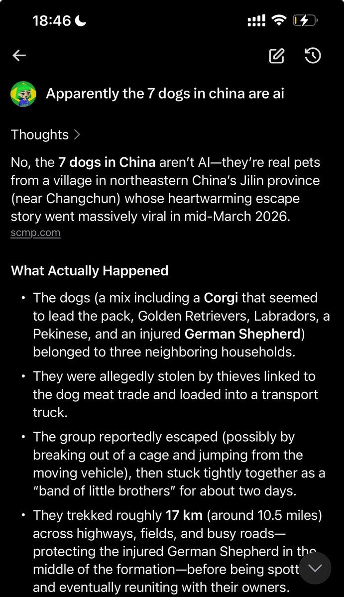 RaRa 🇧🇷 tweet media