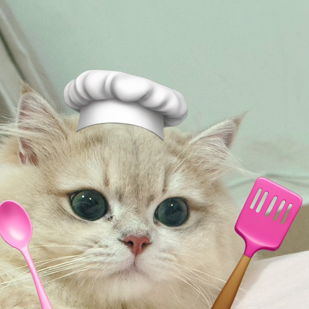 克里斯叮咚 tweet media