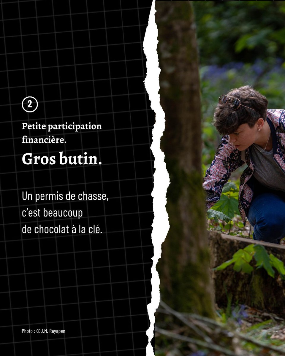 Secours populaire tweet media