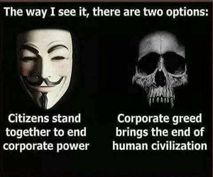 🇵🇸🏴‍☠️🌻TurboKitty🌻🏴‍☠️🇵🇸 tweet media