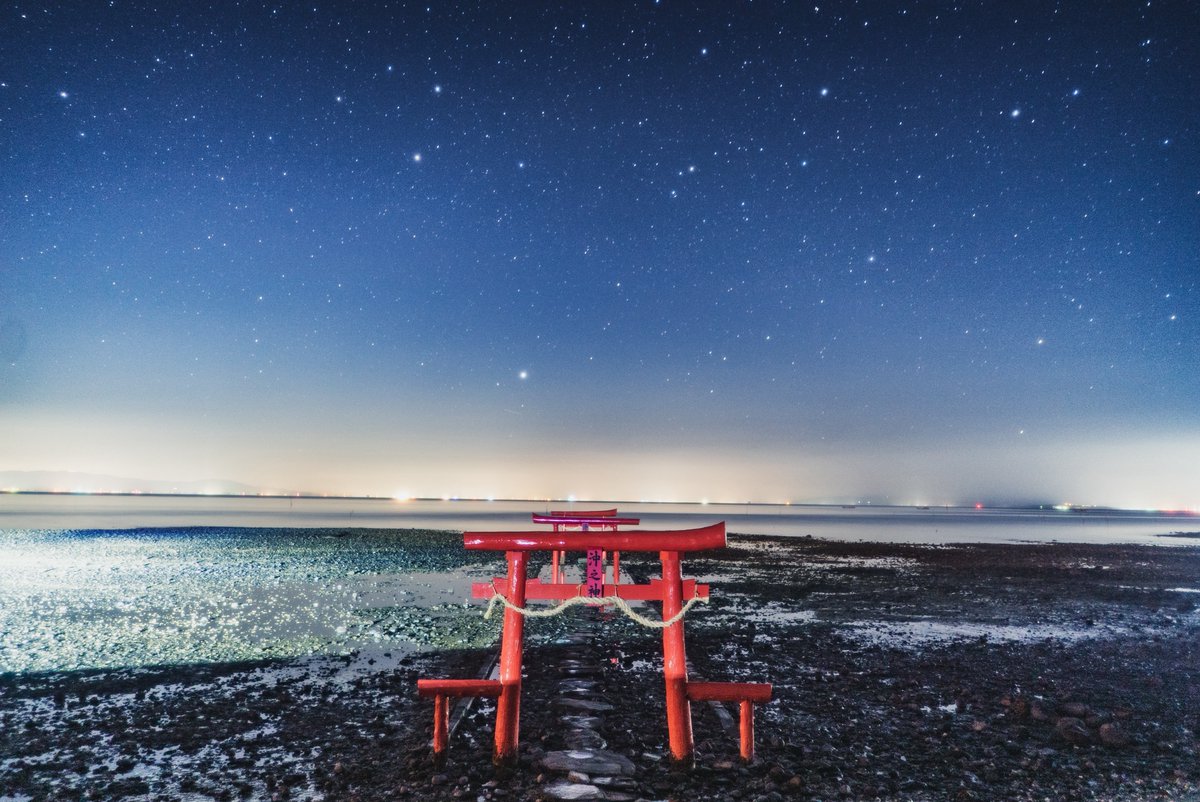 ごりかめ️️️ 𖤐⸝⋆ tweet media