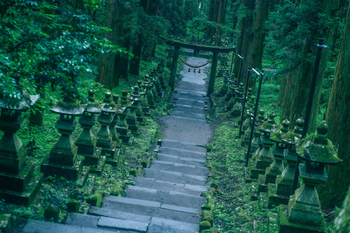 ごりかめ️️️ 𖤐⸝⋆ tweet media