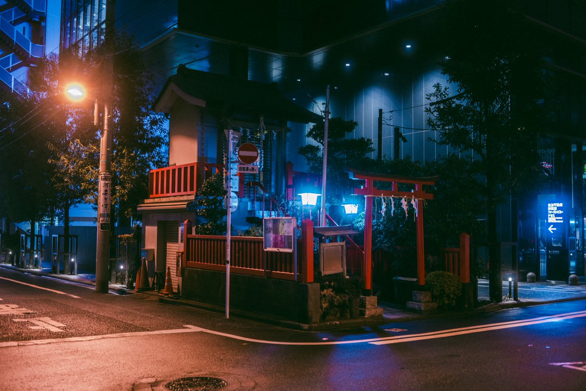 ごりかめ️️️ 𖤐⸝⋆ tweet media