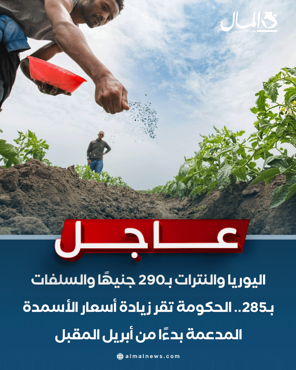 جريدة المال tweet media