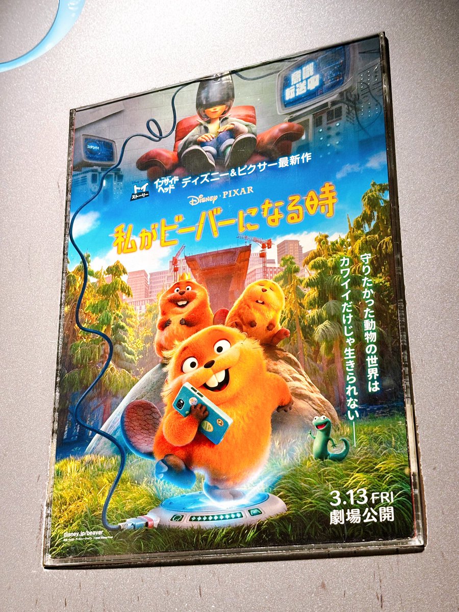 Anne┊あん tweet media