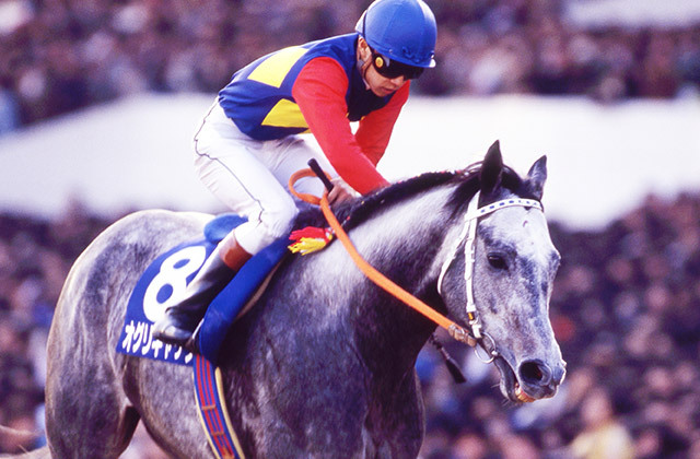 JRA-VAN公式 tweet media