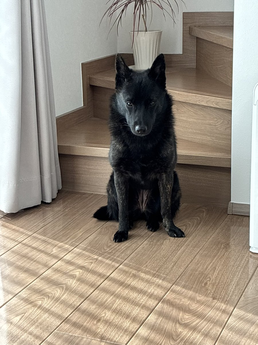 烏海@年末切り絵個展(２人展) tweet media