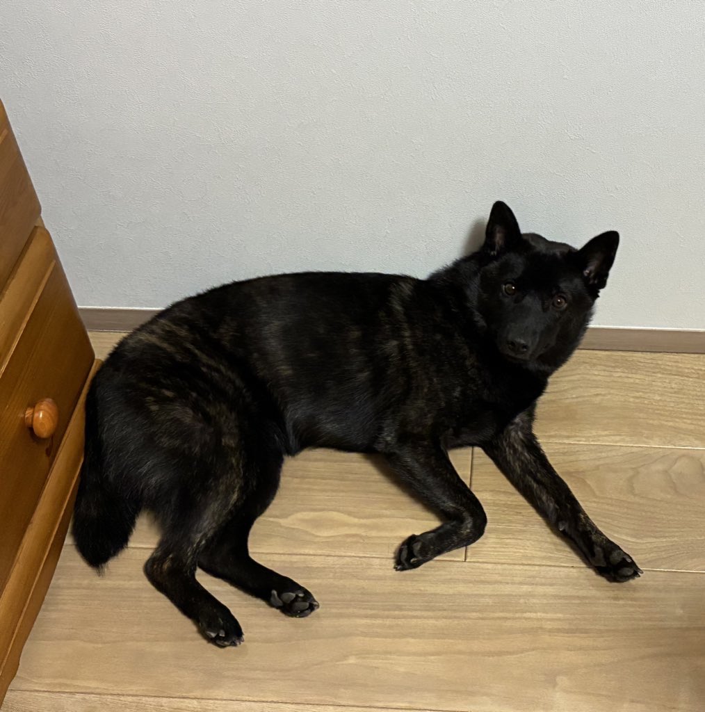 烏海@年末切り絵個展(２人展) tweet media