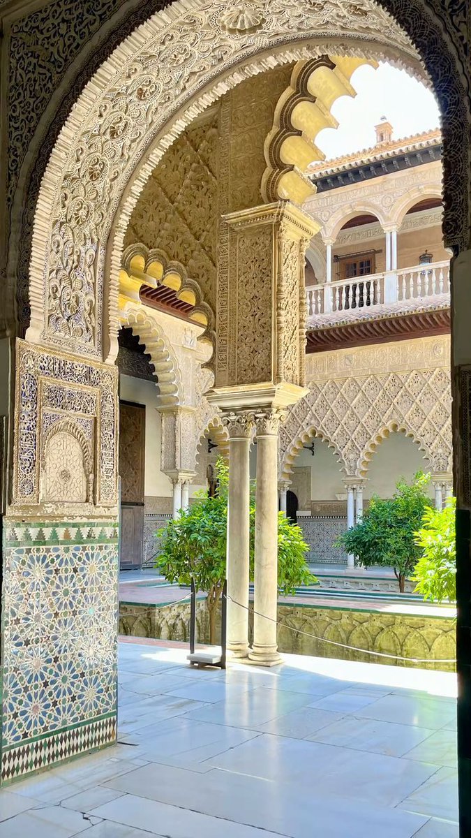 MozartCultures tweet media