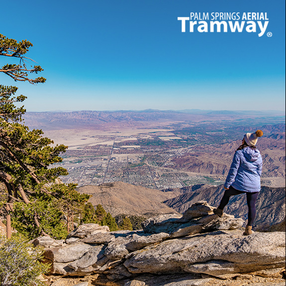 Palm Springs Aerial Tramway tweet media