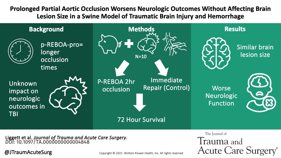 JTraumAcuteSurg's tweet image. Partially occluding aortic balloons are newly approved for clinical practice with the goal of prolonging occlusion times. In this study we show prolong partial occlusion may result in worse neurologic outcomes for patients with #TBI

@Liggett_MD @DrHasanAlam