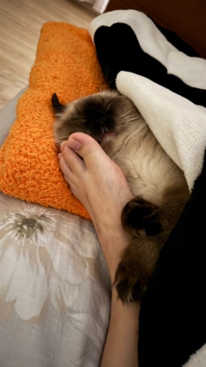 雙子座♊️護理師九兒 tweet media