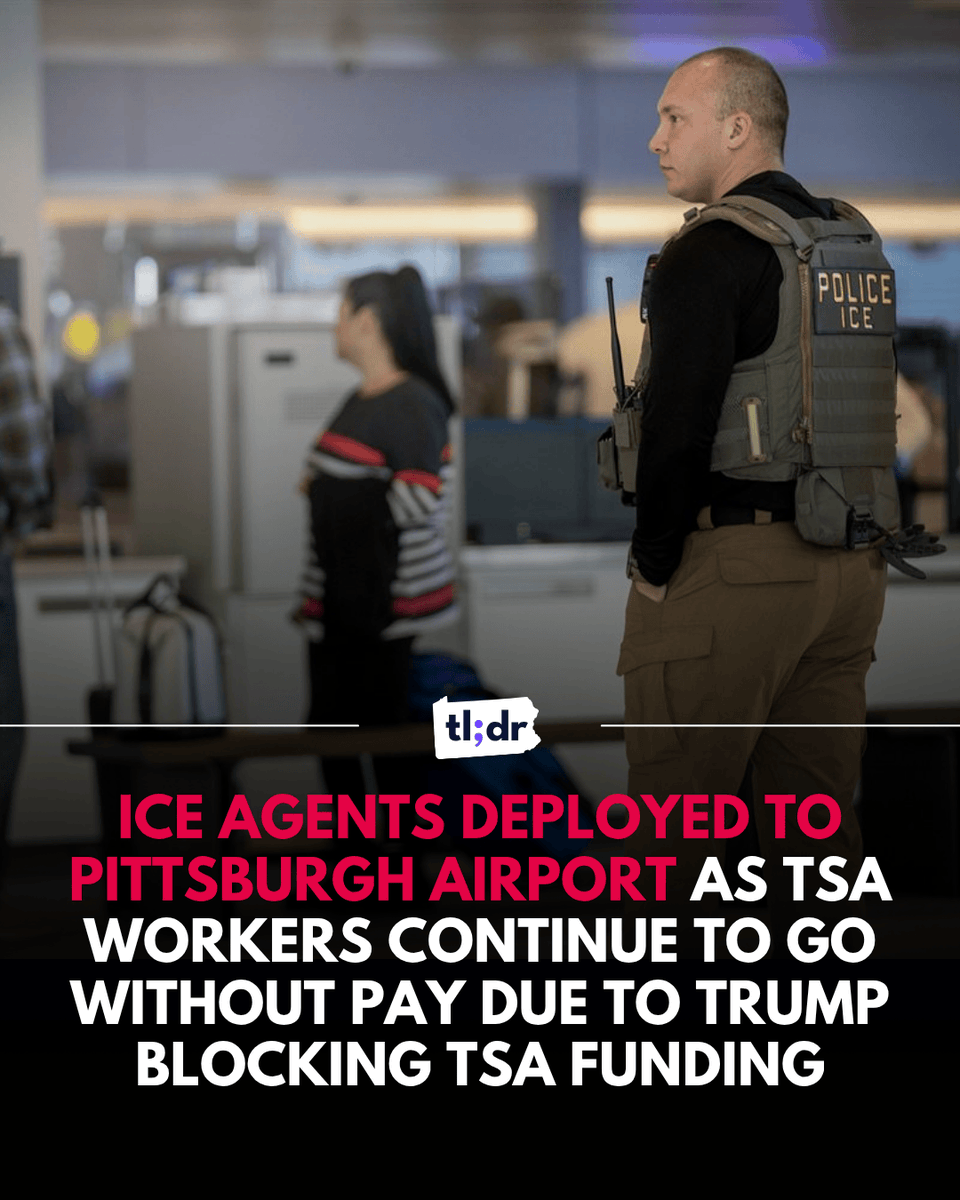 All About PA tweet media