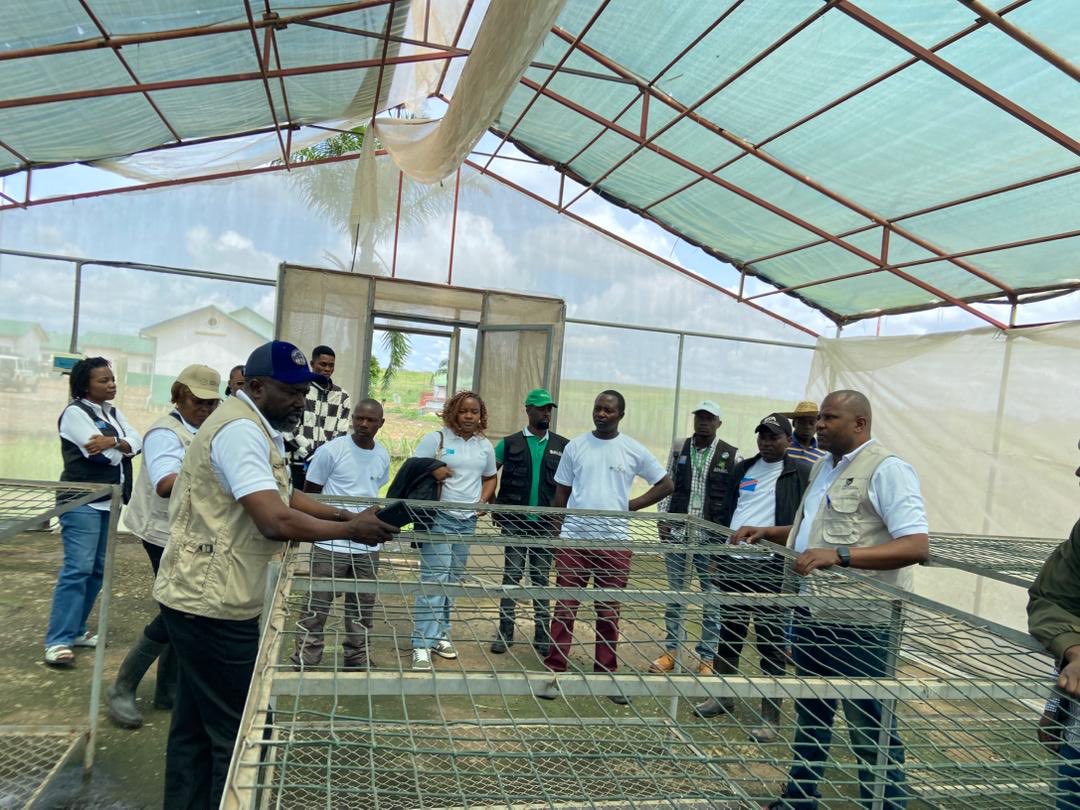 aaliofficiel's tweet photo. 🇨🇩 #ATARDC

In Mbuji-Mayi, we welcomed a delegation from the PVA, the Ministry of Agriculture, and CICOAGRI for a visit to the Nkuadi agricultural base.

Objective: to strengthen collaboration and highlight the activities carried out with producers as part of #ATARDC. https://t.co/RxRrPeuQiZ
