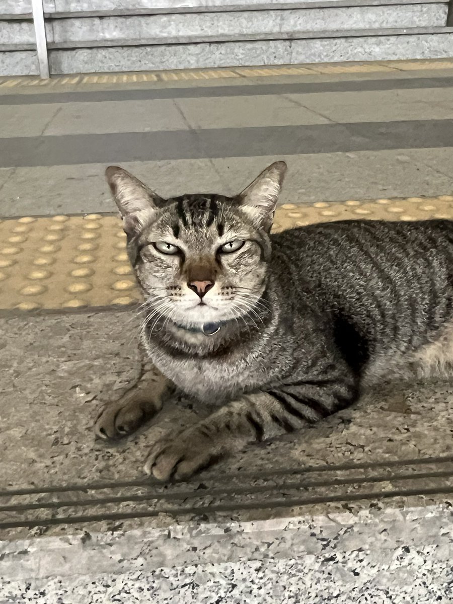 ナモー🎀 tweet media