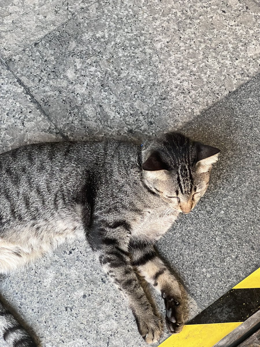 ナモー🎀 tweet media