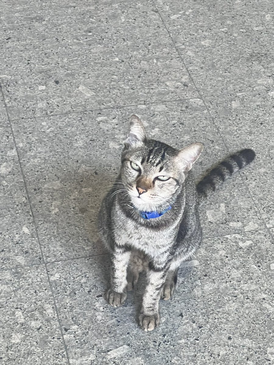 ナモー🎀 tweet media