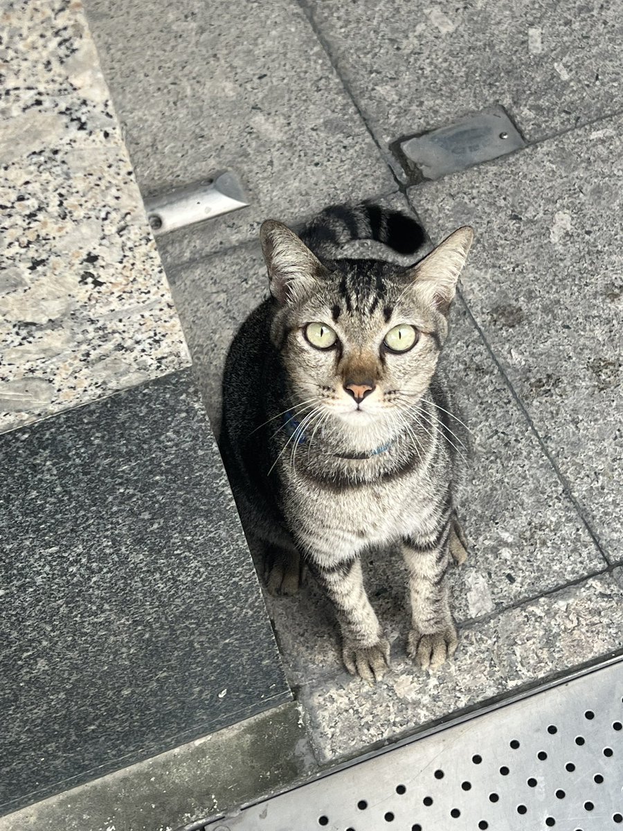 ナモー🎀 tweet media