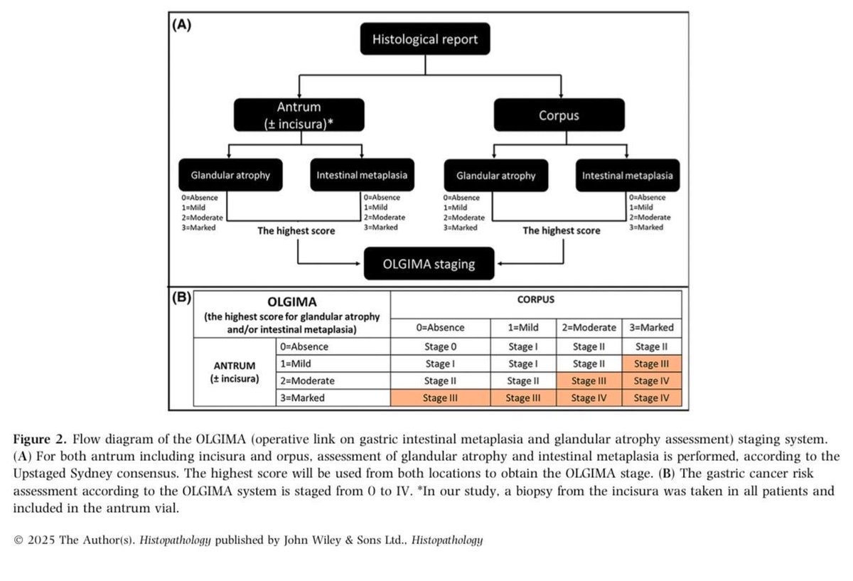 Adriana Zucchiatti tweet media