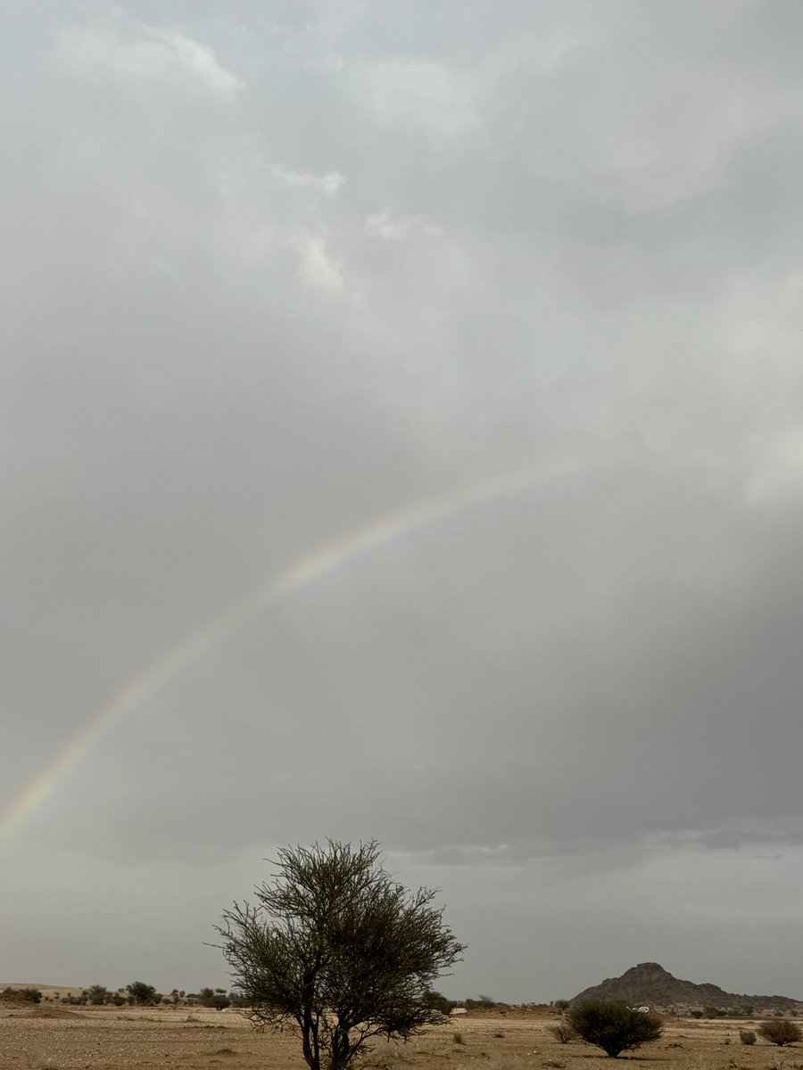 ريــم نـجد 👑 tweet media