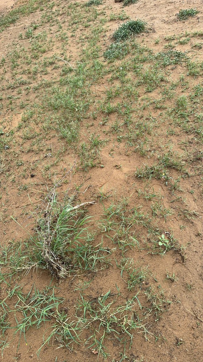 ريــم نـجد 👑 tweet media